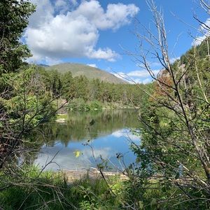 Meet your Posher, Chad